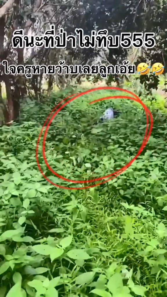 โดดเรียน